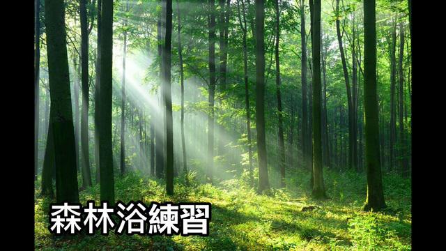 療癒-森林浴練習L7_Heidi老師(粵語) 影片